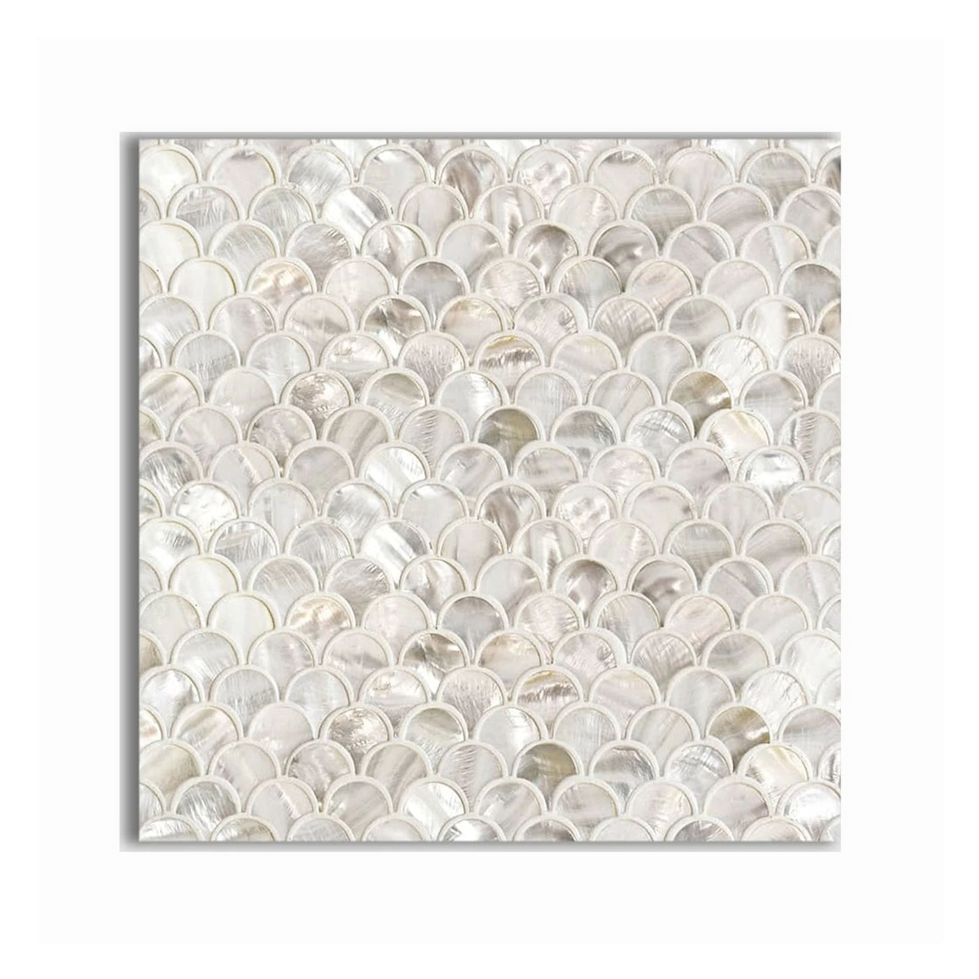 12" x 12" Mother Of Pearl Polished Scallop Iridescent Shell Mosaic