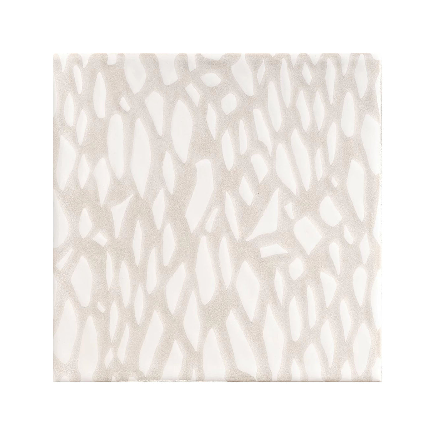 6" x 6" Neutral Weave Glossy Fishnet Galore Ceramic Tile